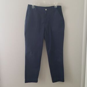 HUDSON Jeans Utility Chino Navy Straight Leg Jean sz 29